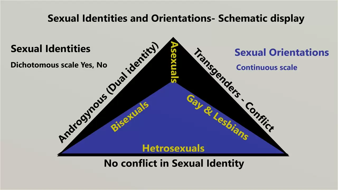 Sexual Identities and Orientations - Schematic display.
