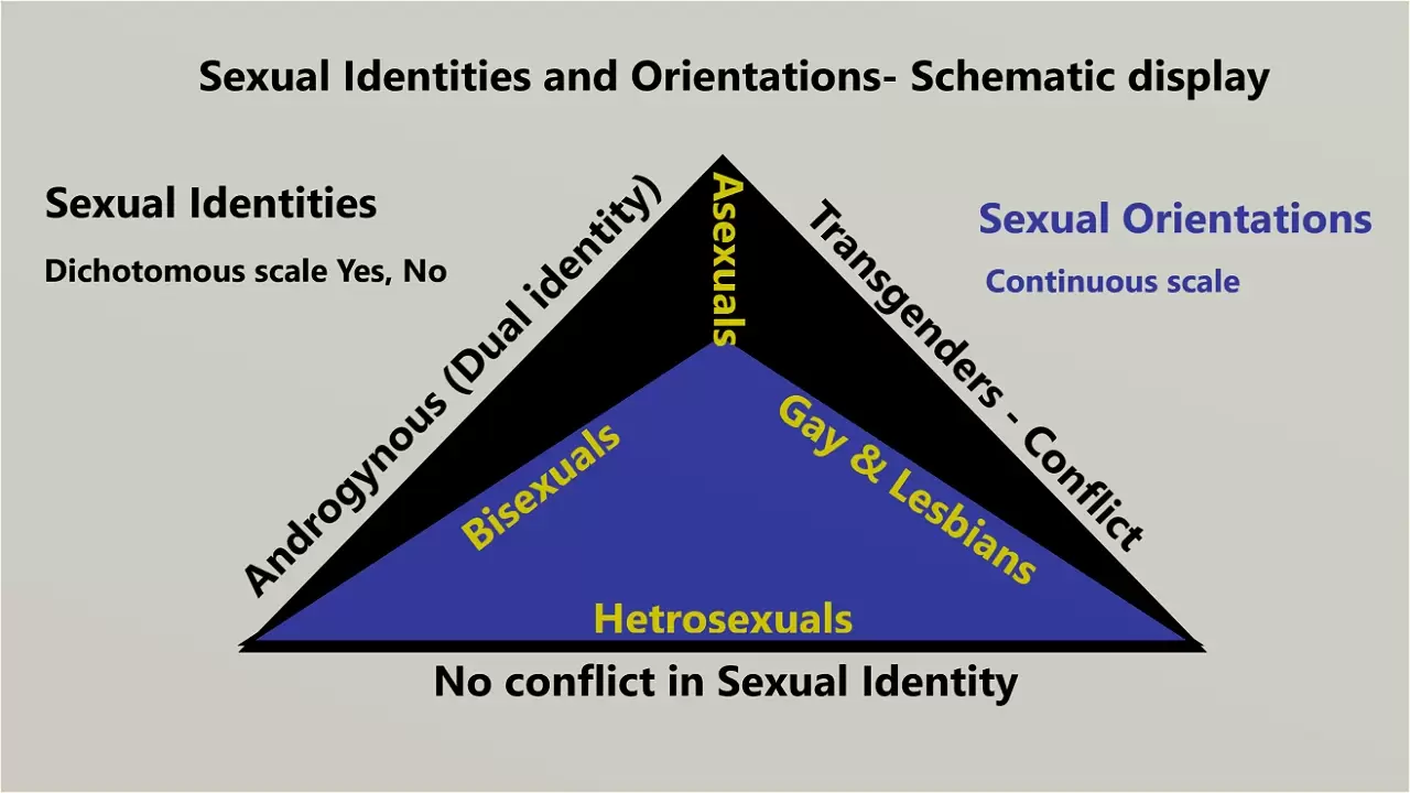 Sexual identities and orientations schematic display.