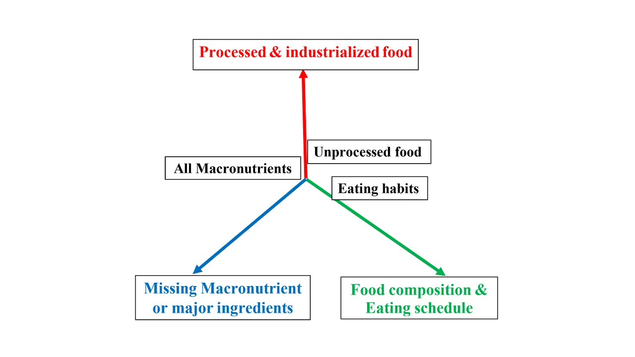 Diet variables.