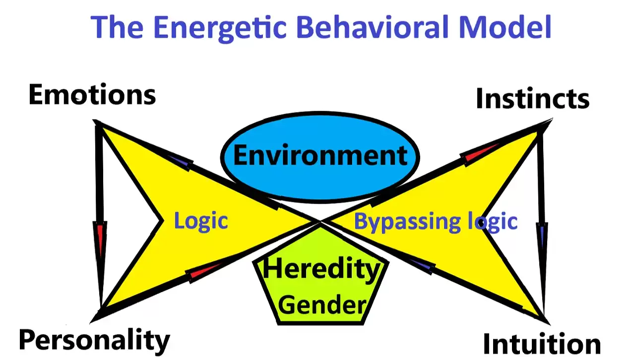 The Energetic Behavioral Model.