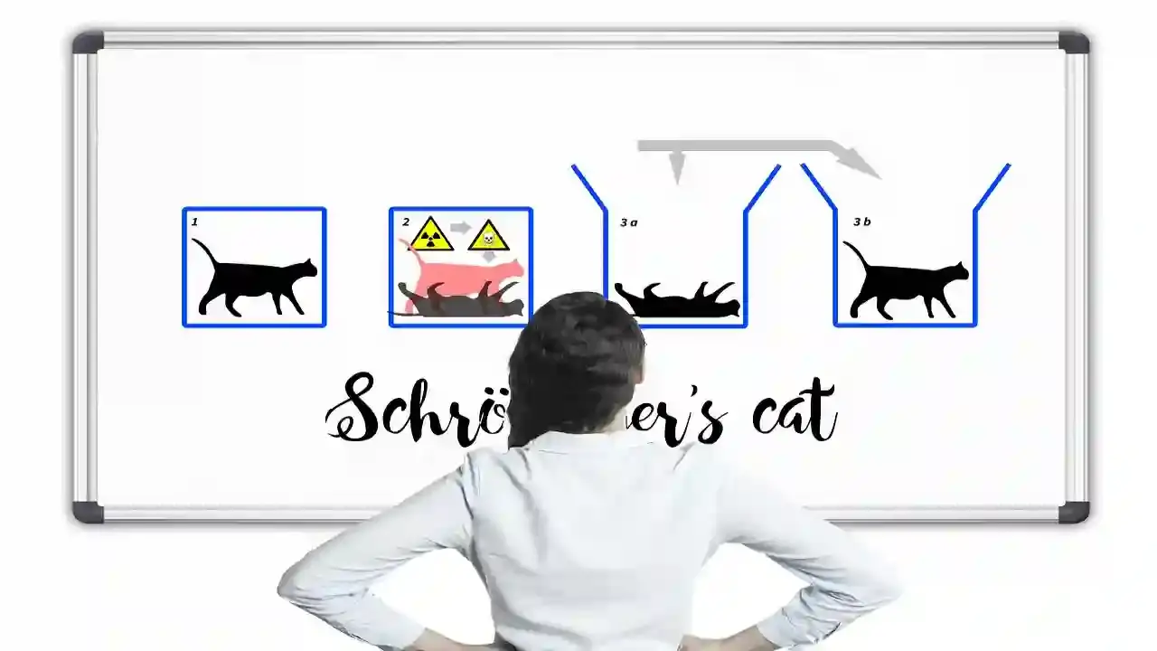 Schrödinger's Cat.