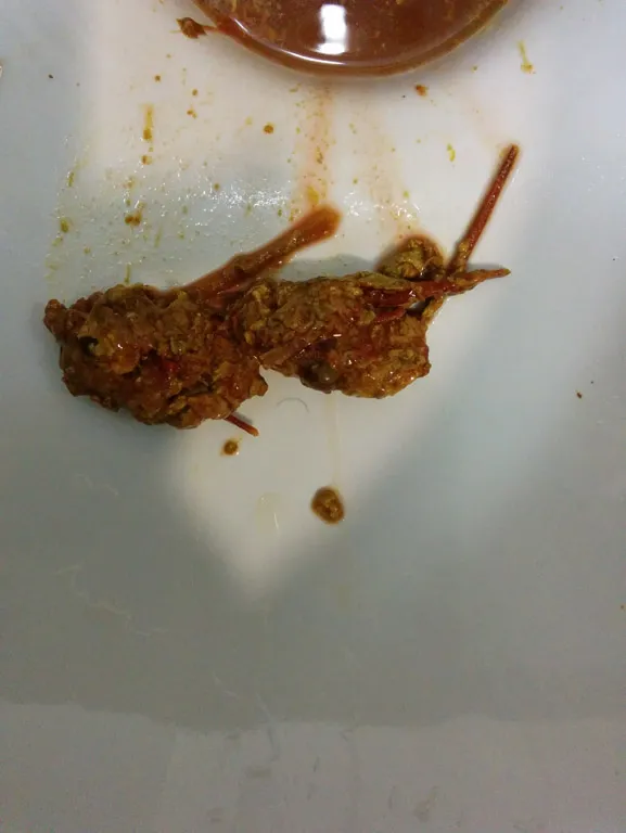 Worms