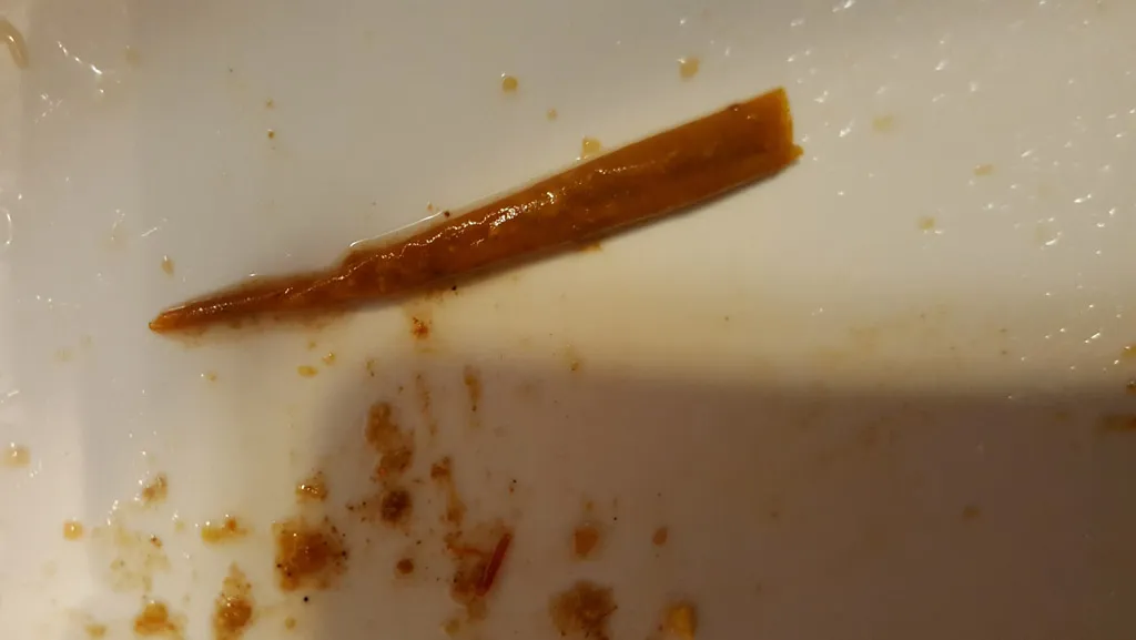 Worms