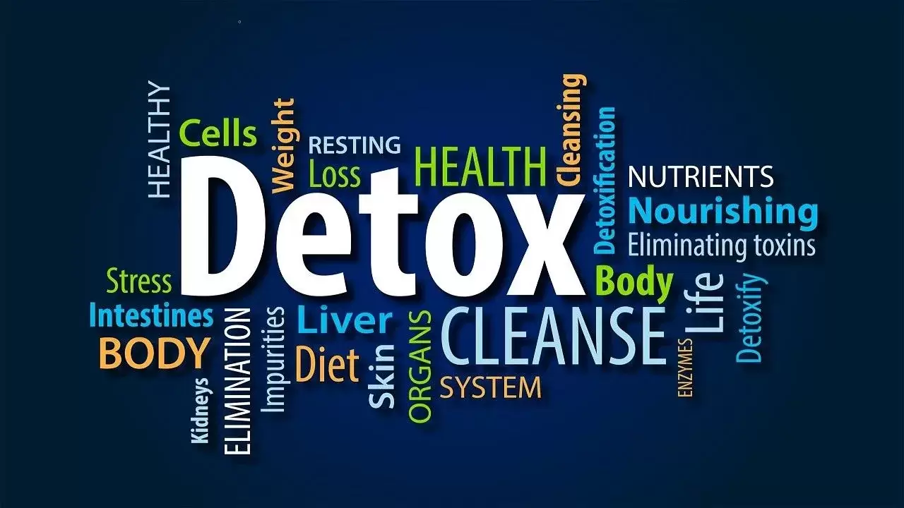 Comprehensive Detoxification Guidelines.