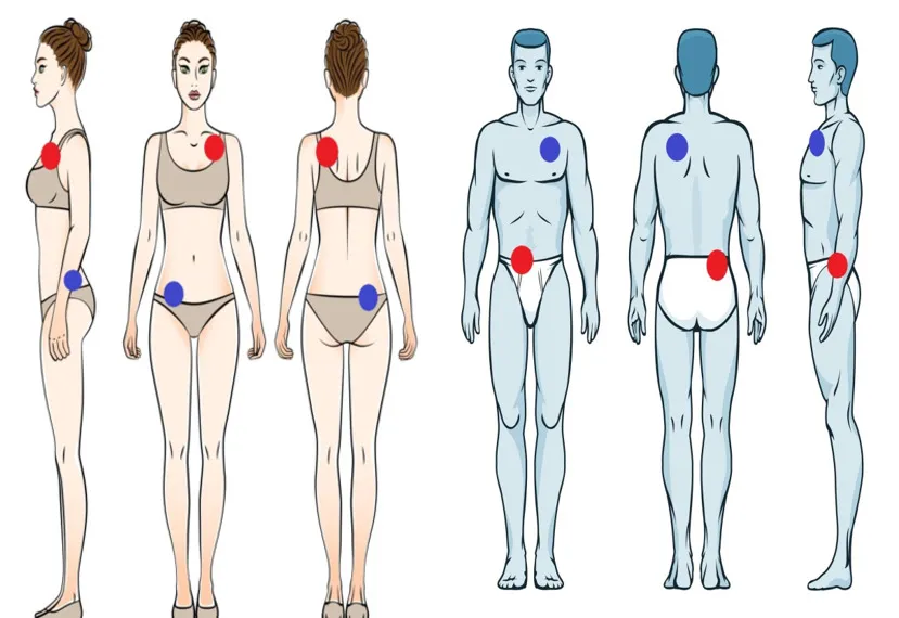 Bisexual woman and man magnetic poles alignment configuration illustrated. (Tilt on both axes)