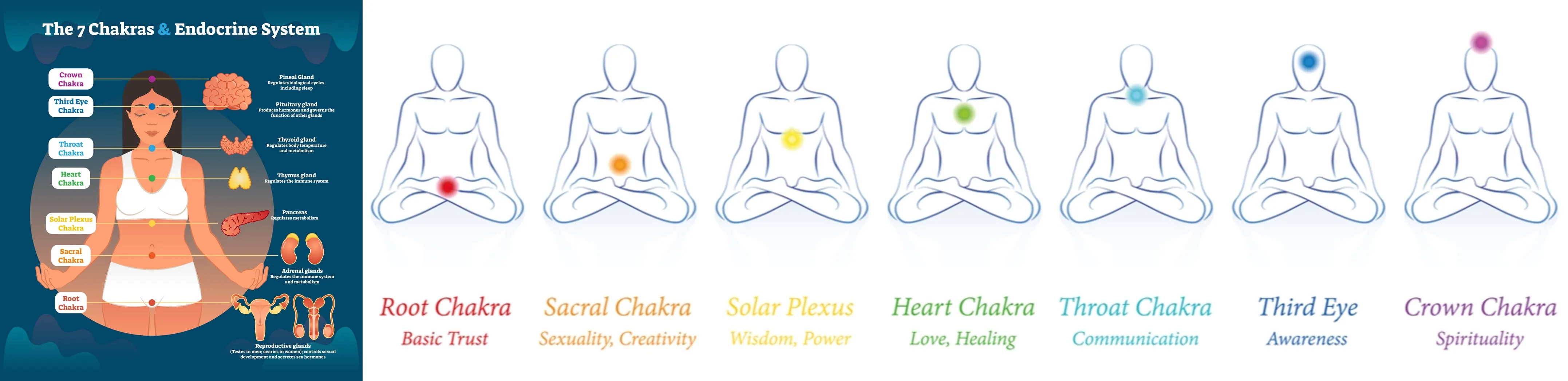 The 7 Chakras (Energy Centers) and Endocrine system organs represent respective influential emotions. (The emotional settings I brought are slightly broader.)