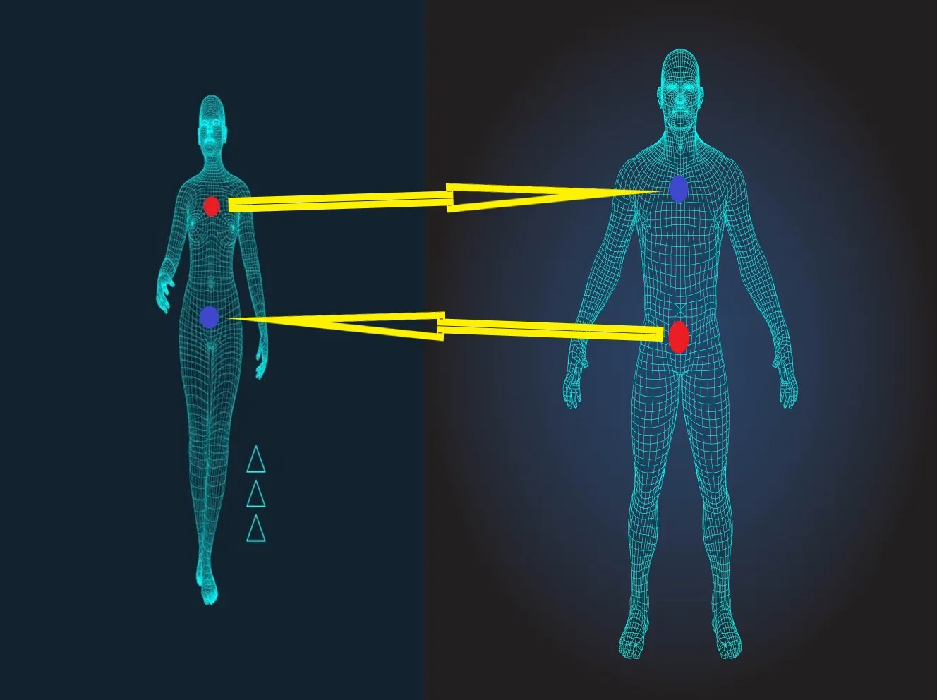 Heterosexual woman and a man with the illustration of the energy flow. (Positive (red) to negative (blue))