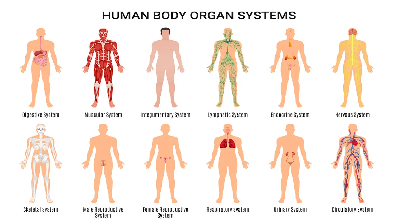 The order in which symptoms first appear is significant.