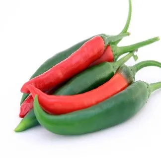 Hot chili pepper.