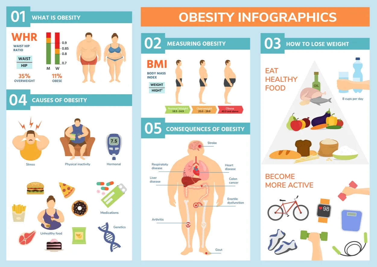 Obesity infographics.