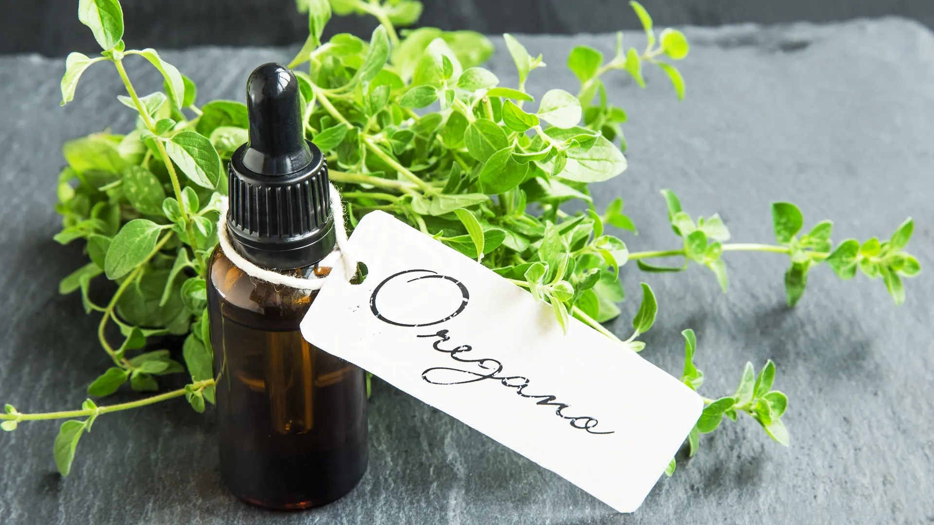 Oregano oil. (Potent antibiotics)