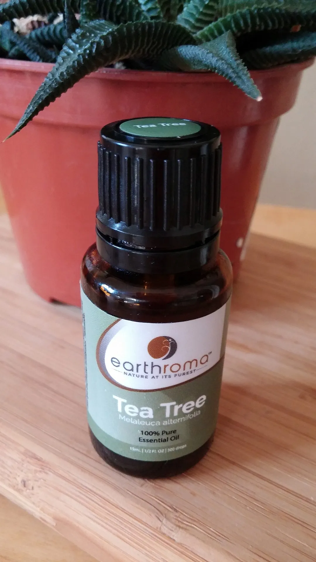 Tea tree oil. (Potent anti-fungal)